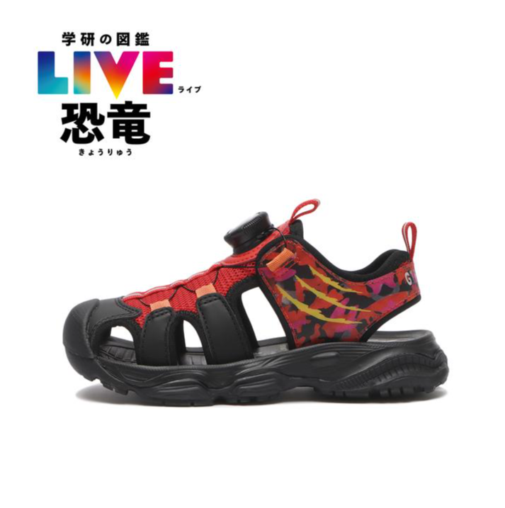 【HAWKINS】【COOL SERIES】【KIDS】