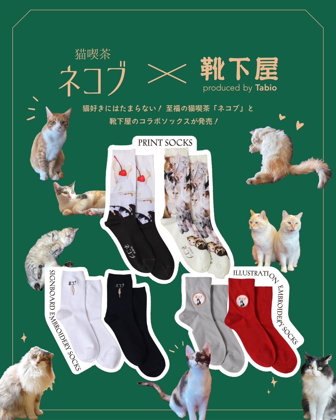 【猫喫茶ネコブ×靴下屋】コラボソックス🐈🧦