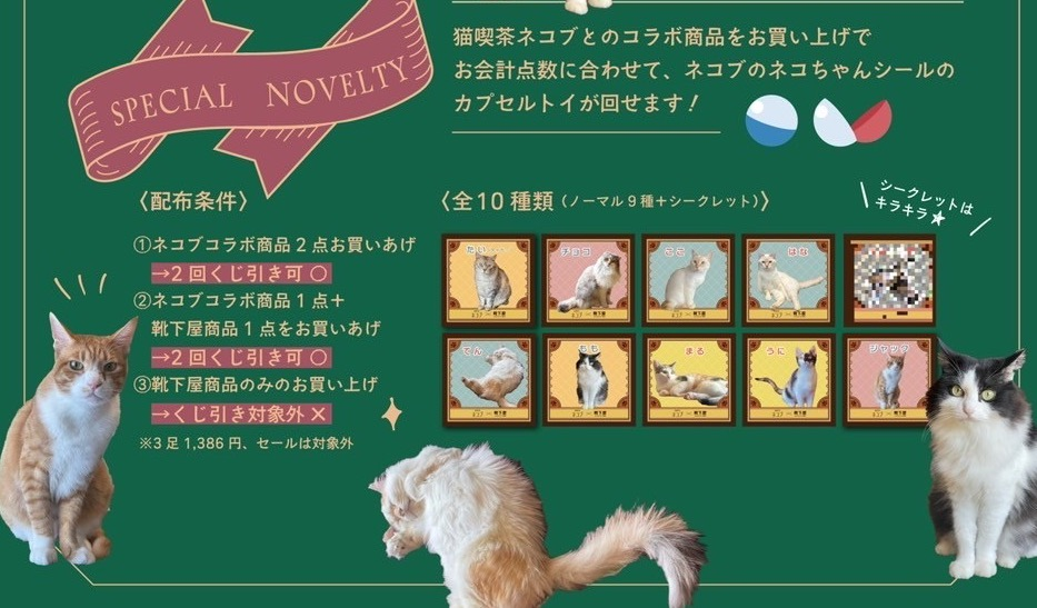 【猫喫茶ネコブ×靴下屋】コラボソックス🐈🧦