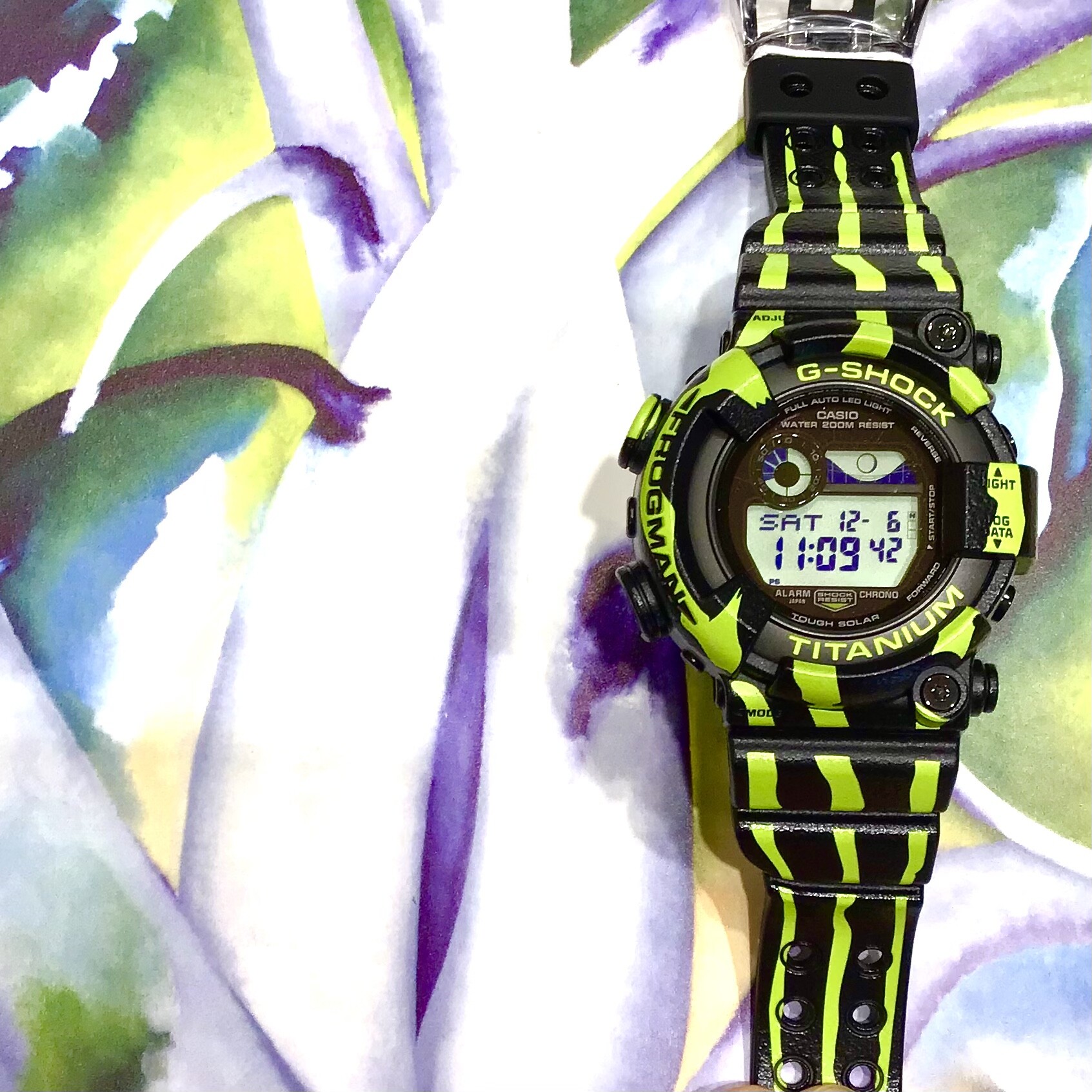 【G-SHOCK】Three-striped Poison Frog★