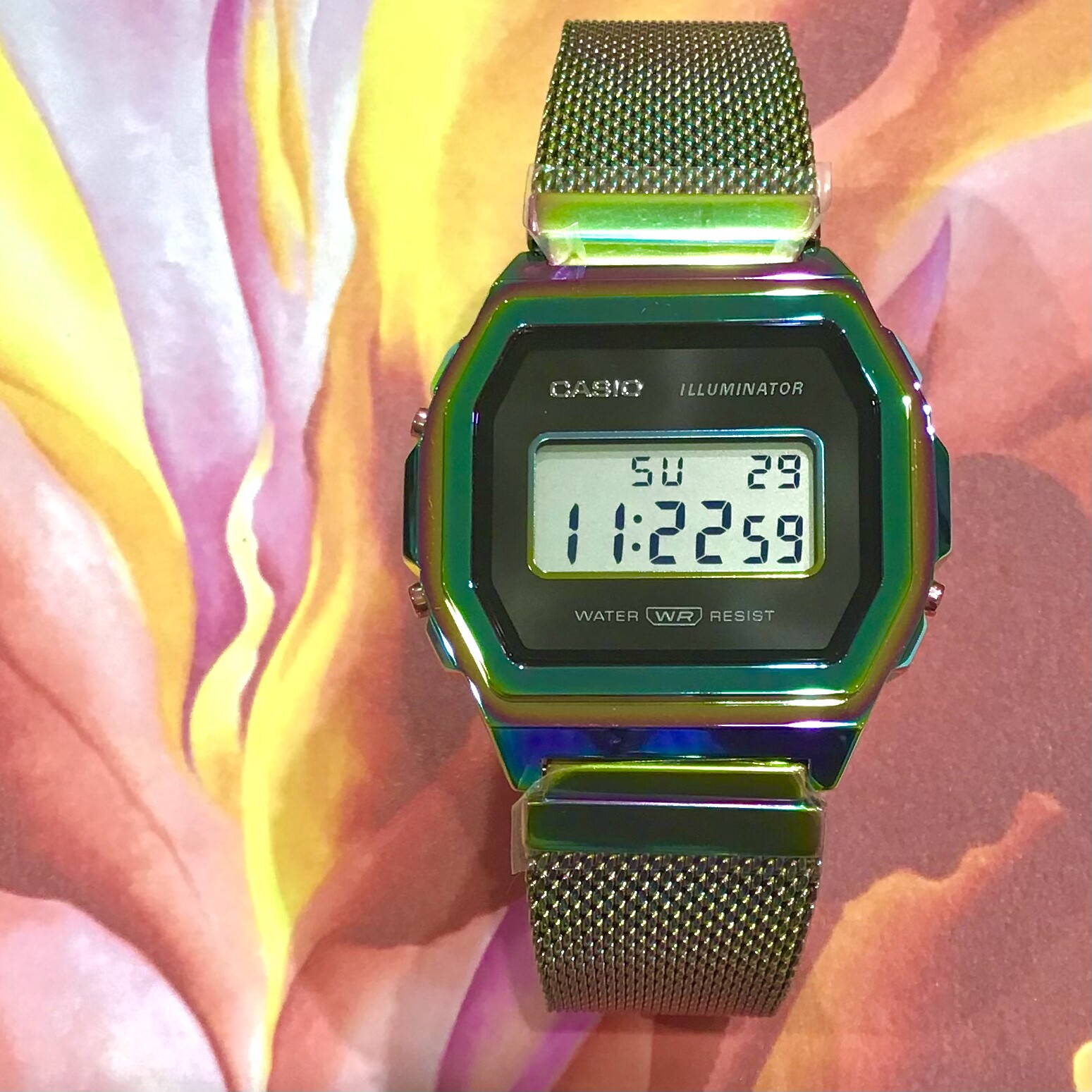 【CASIO】これが令和のプレミアム!!