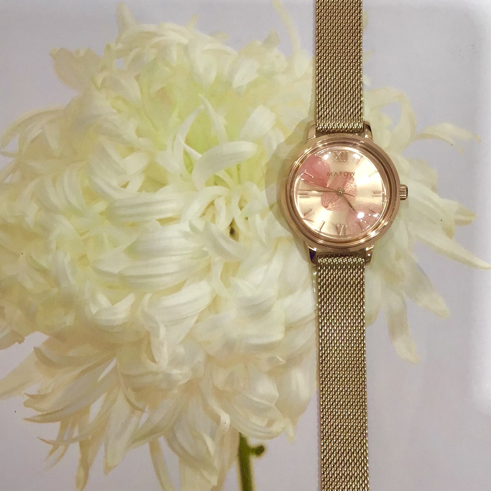【MATOW】new collection＊花の存在＊