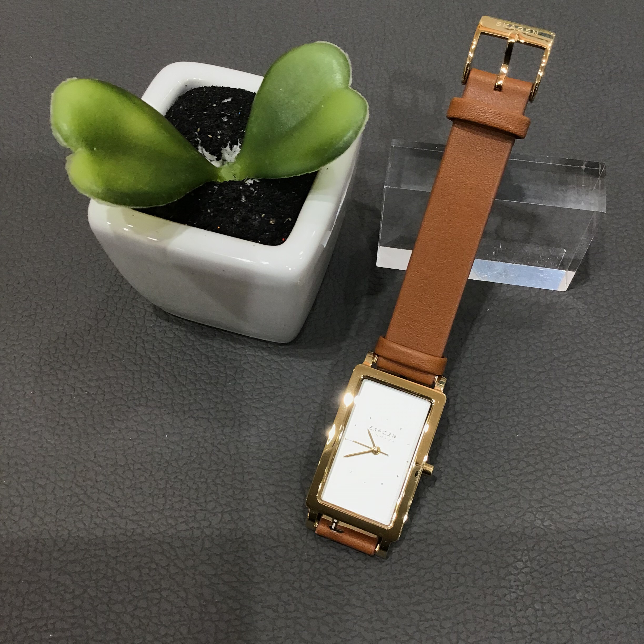 SKAGEN HAGEN（ハーゲン）登場♪｜チックタック｜ショップニュース｜KUZUHA MALL くずはモール