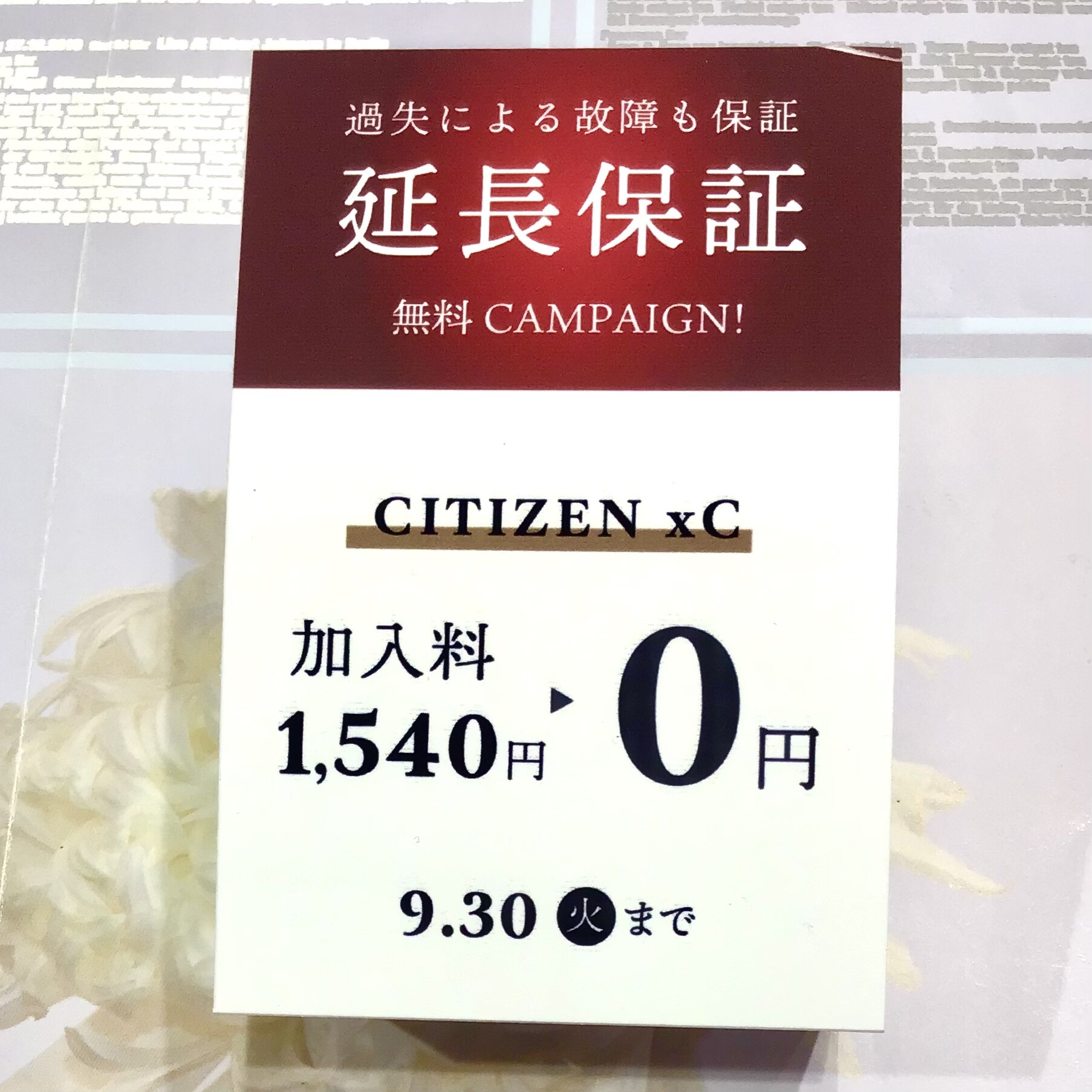 【XC】落ち葉カラーのベルトにチェンジ★