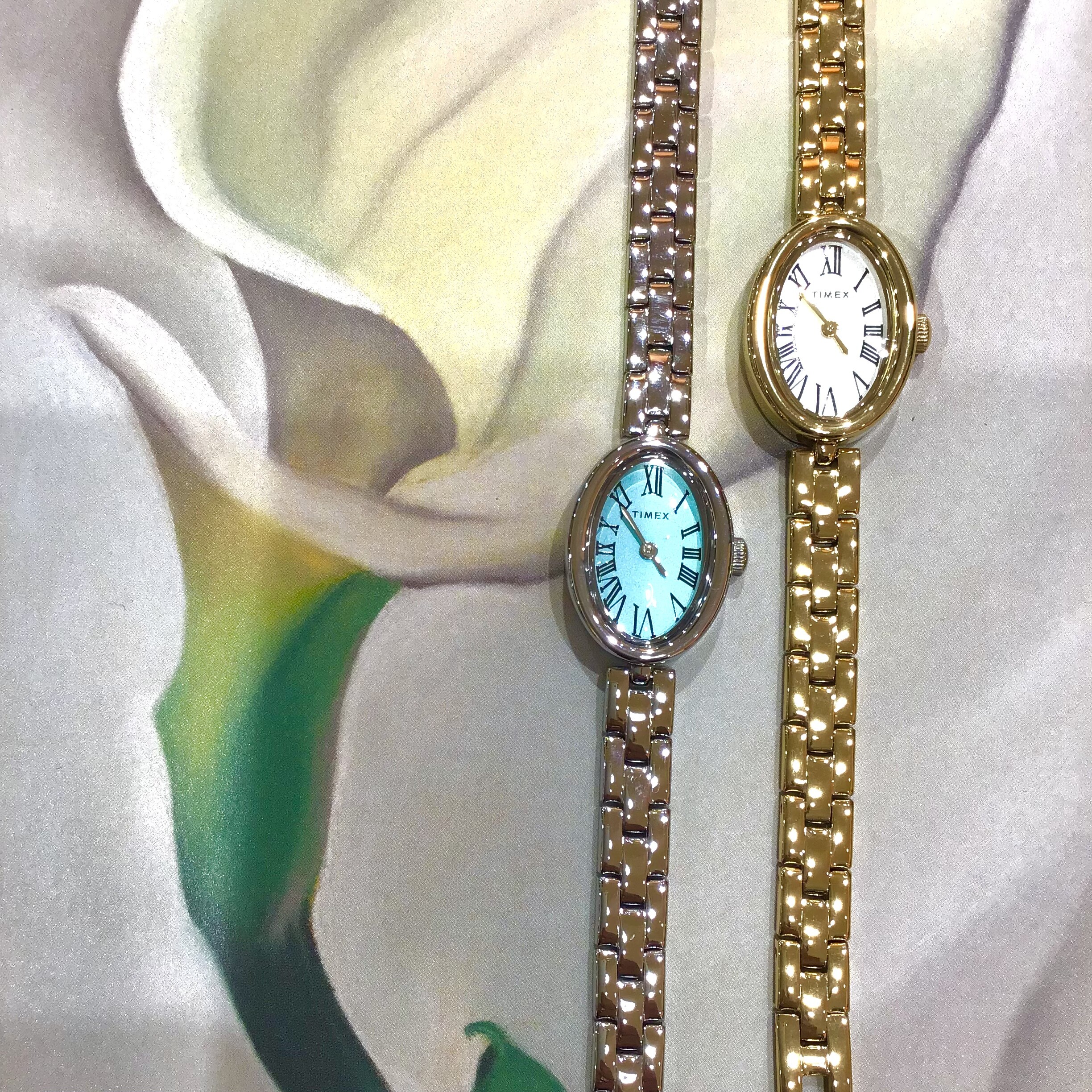 【TIMEX】★ Cavatina★