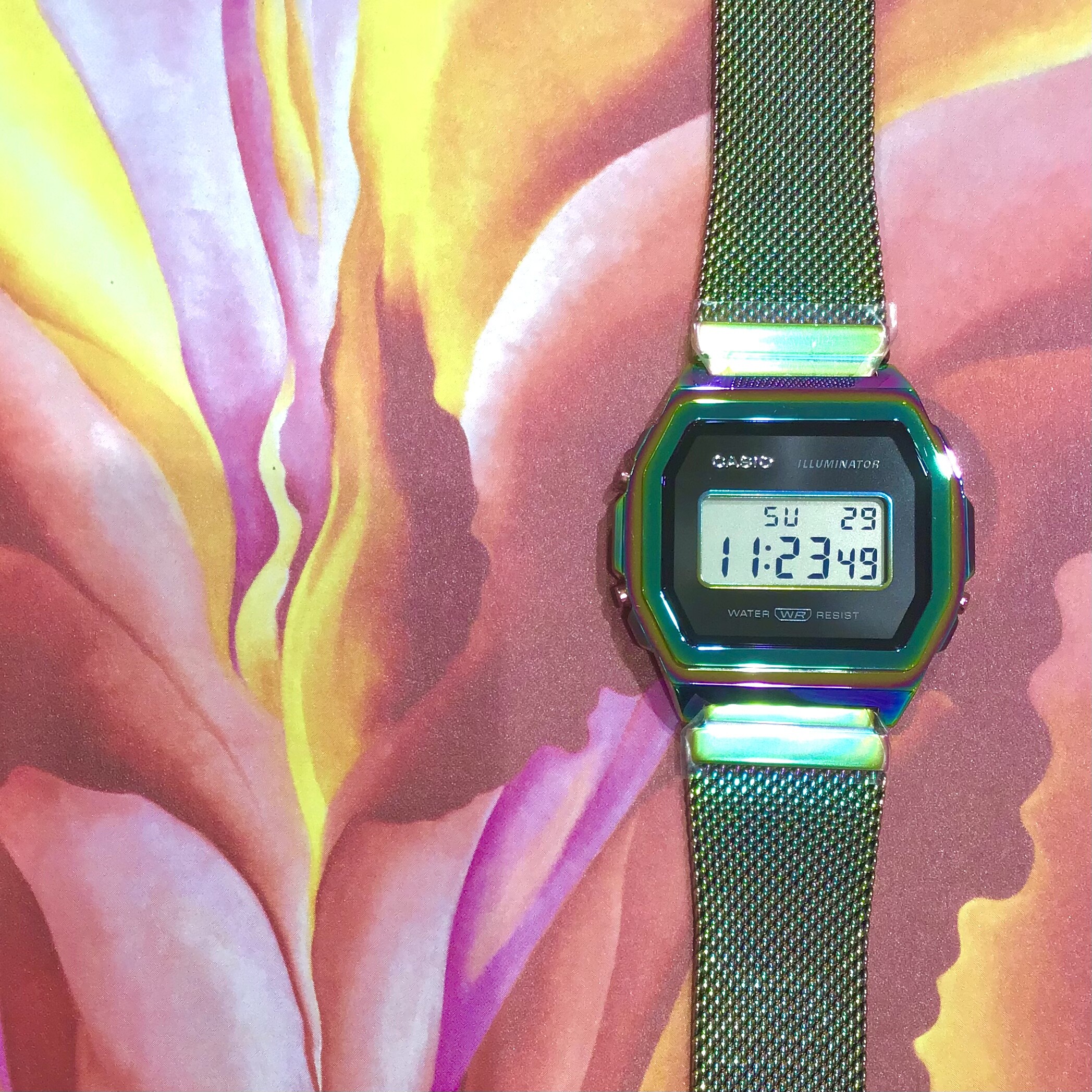 【CASIO】これが令和のプレミアム!!