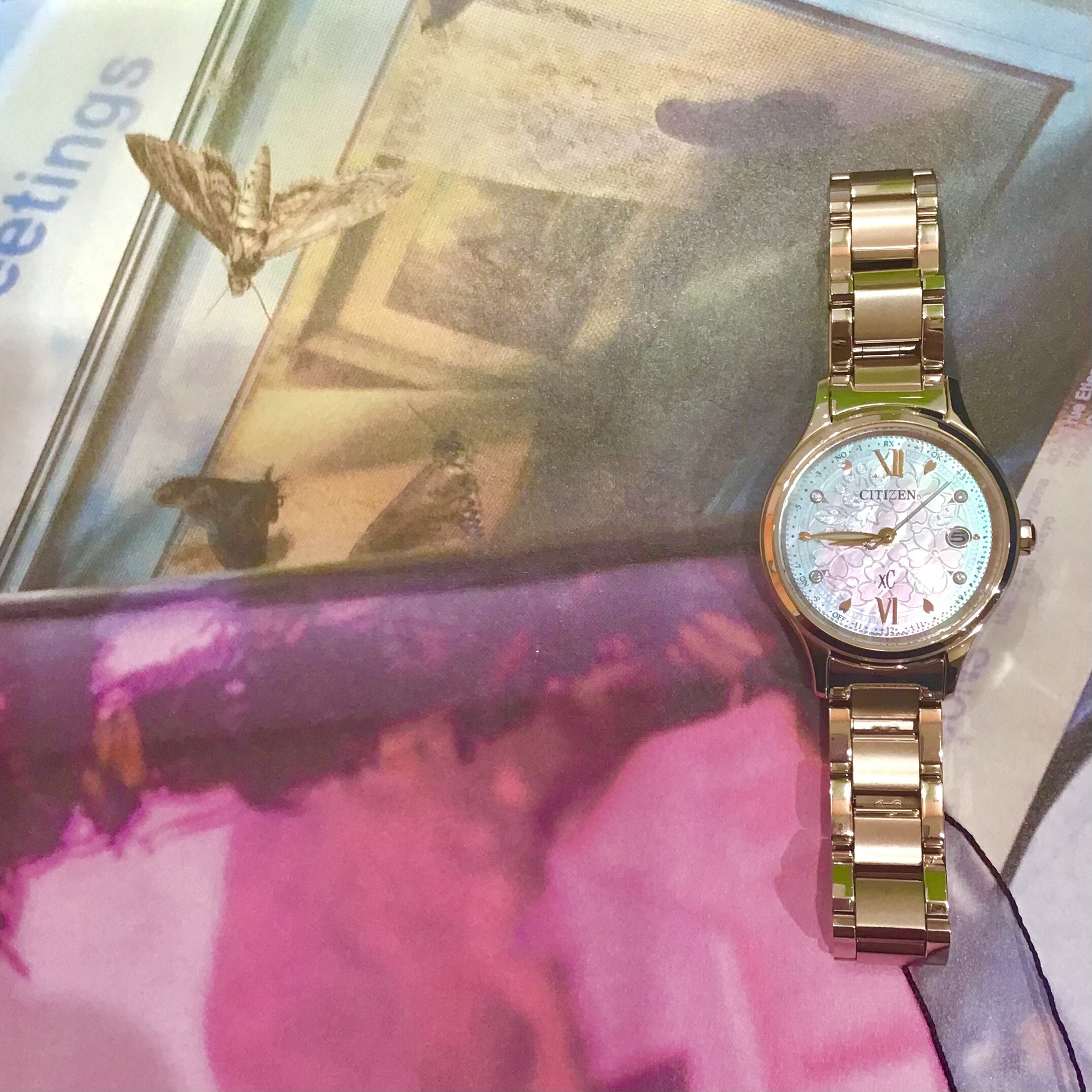 【xC】＊桜のフラワーボックス＊