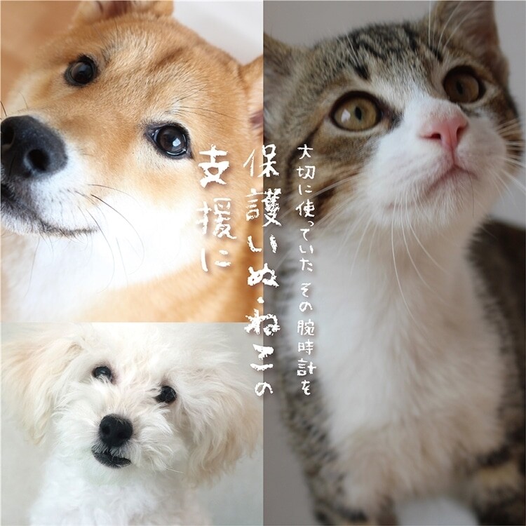 【OUTLINE × TiCTAC】TiCTAC別注モデル★