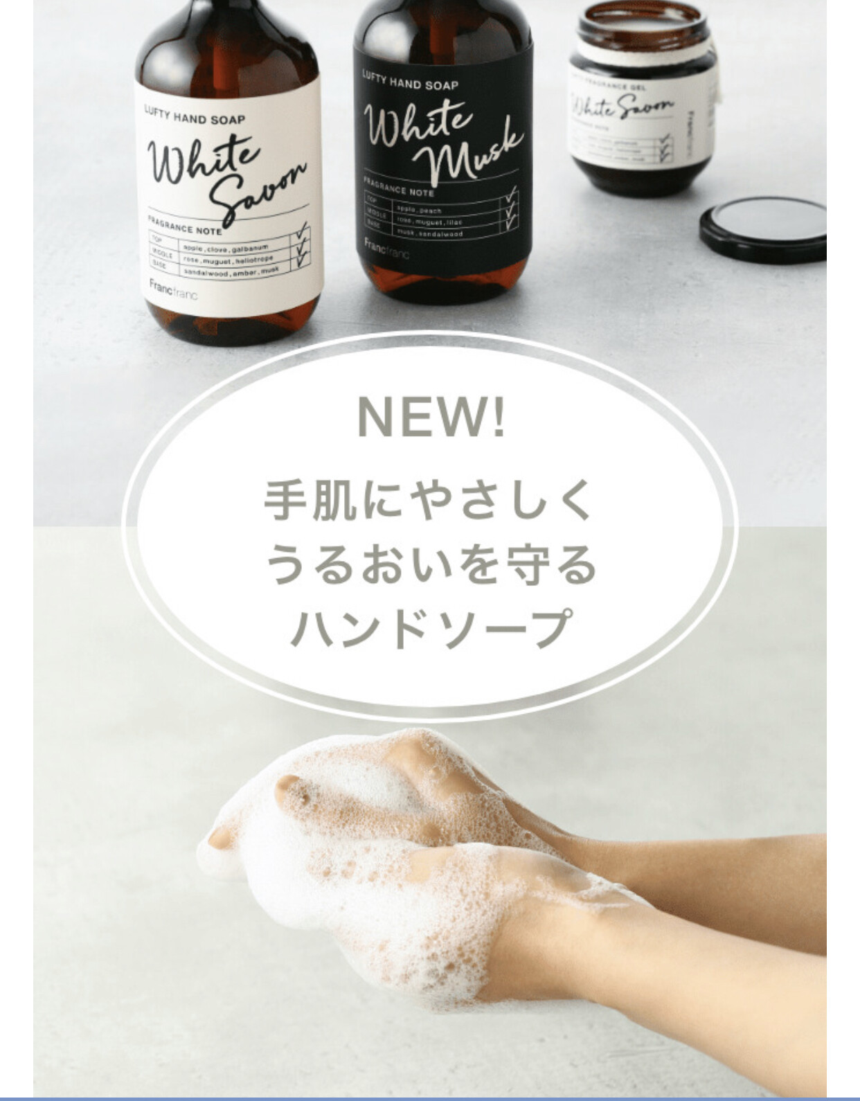 大人気の フレグランスシリーズをご紹介!