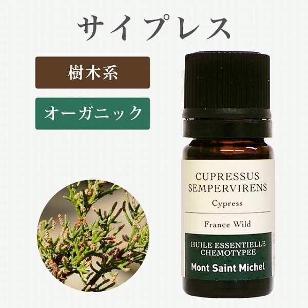 サイプレス精油のご紹介
