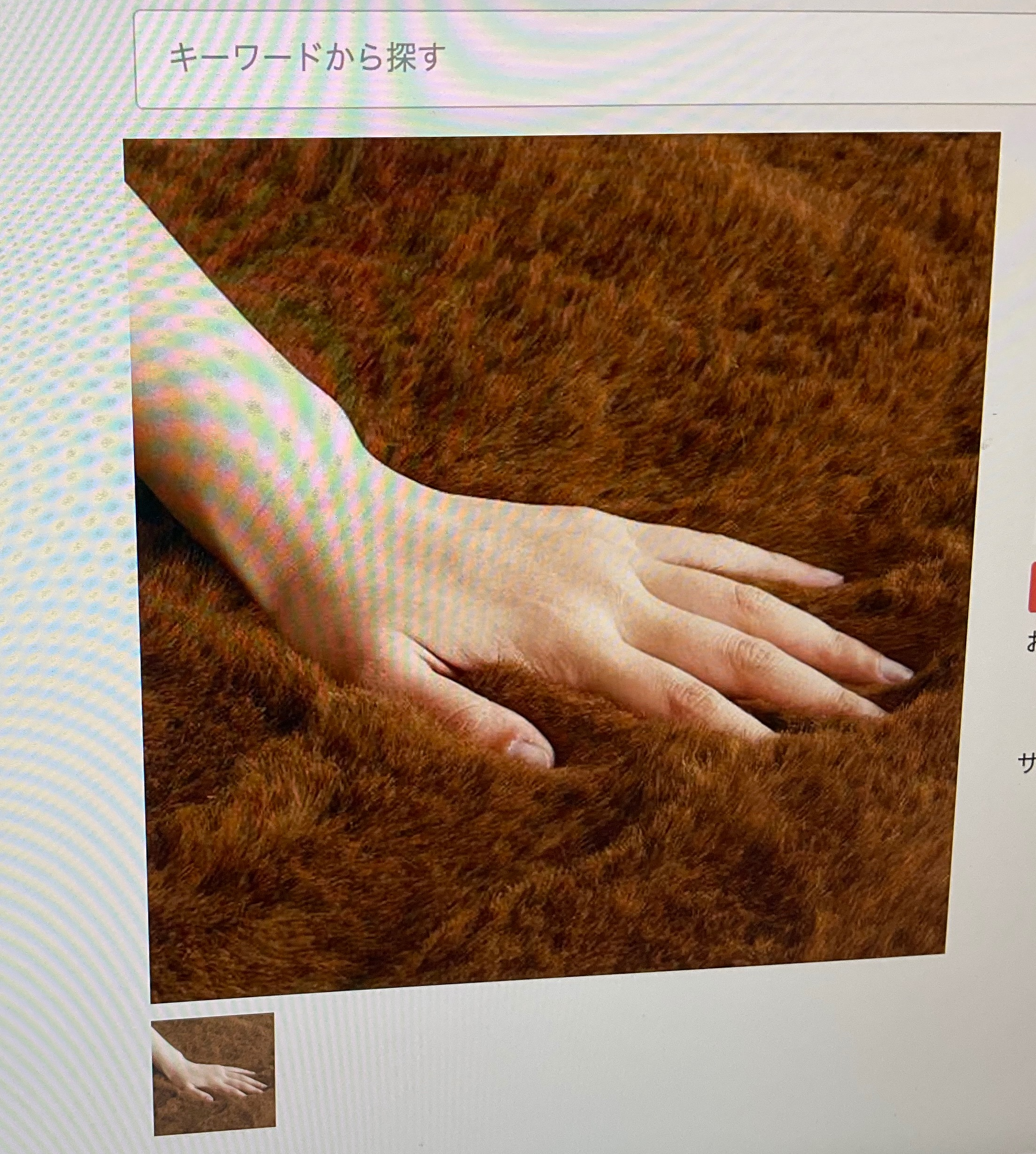 一流メーカーのラグ処分品を揃えました‼️