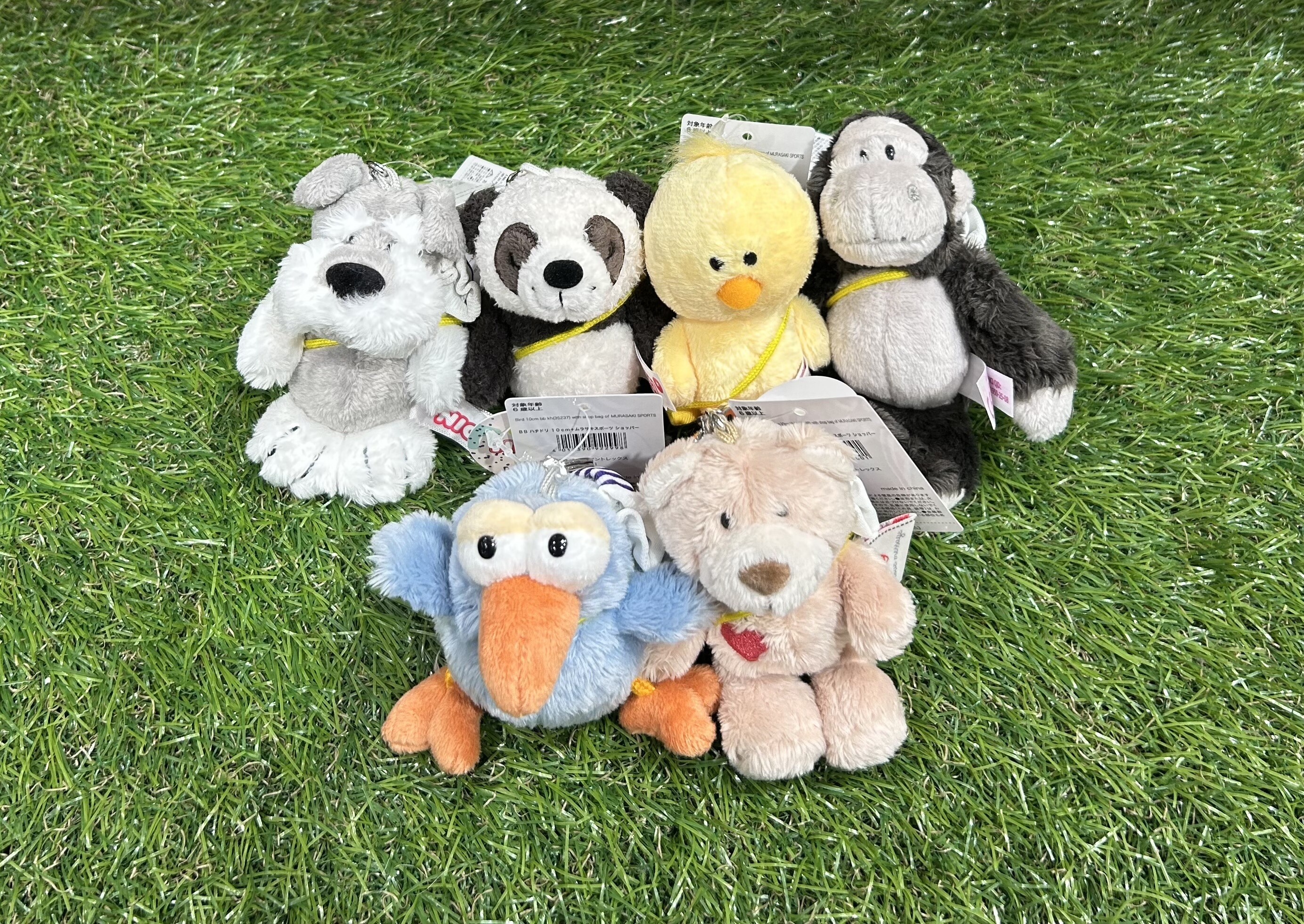 大人気のNICIとムラサキスポーツのコラボ🐰💜