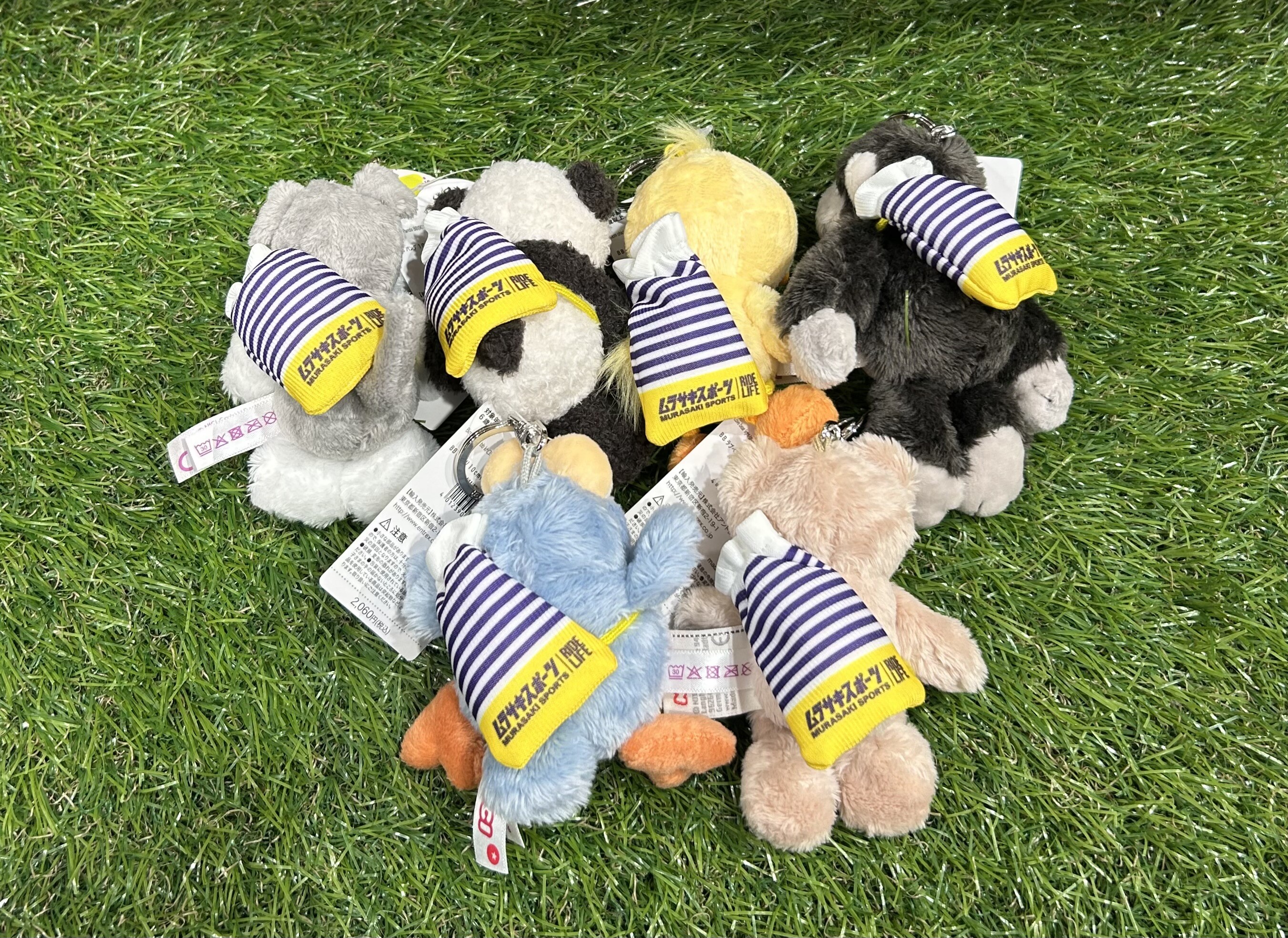 大人気のNICIとムラサキスポーツのコラボ🐰💜