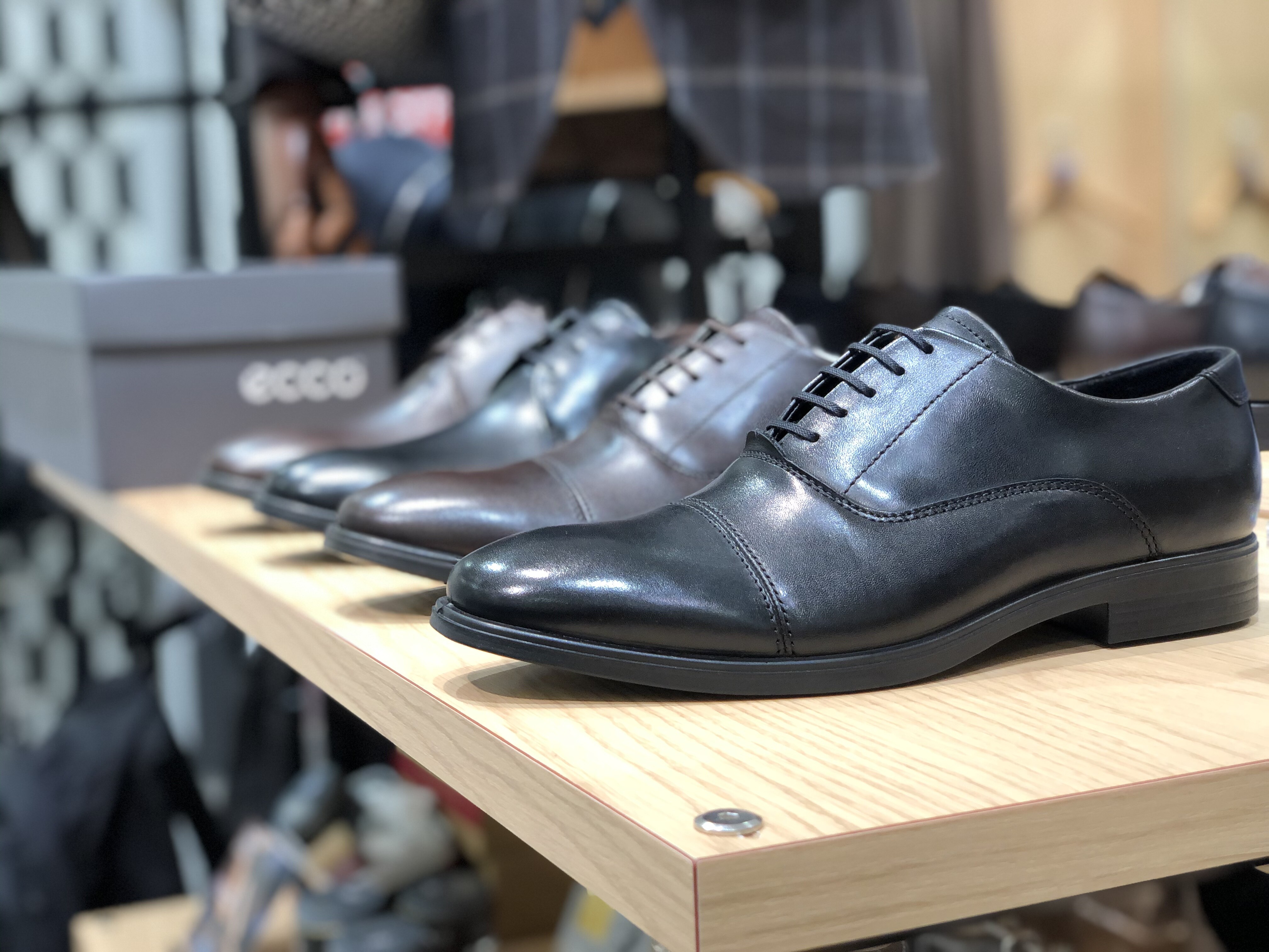 BEGIN掲載商品。THE SUIT COMPANY スペシャルオファー