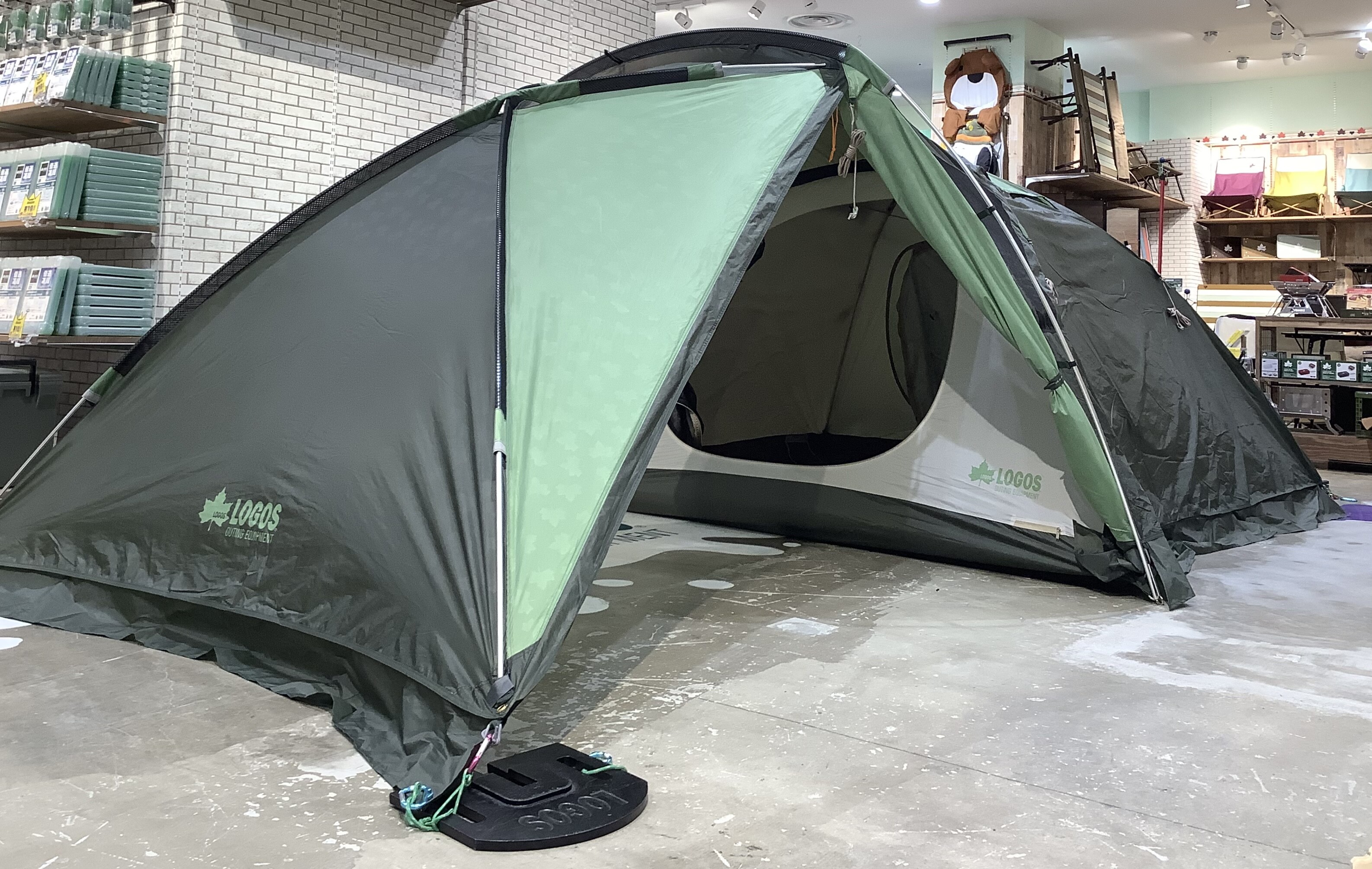 新たなテントが入荷しました！｜LOGOS SHOP｜ショップニュース｜KUZUHA 