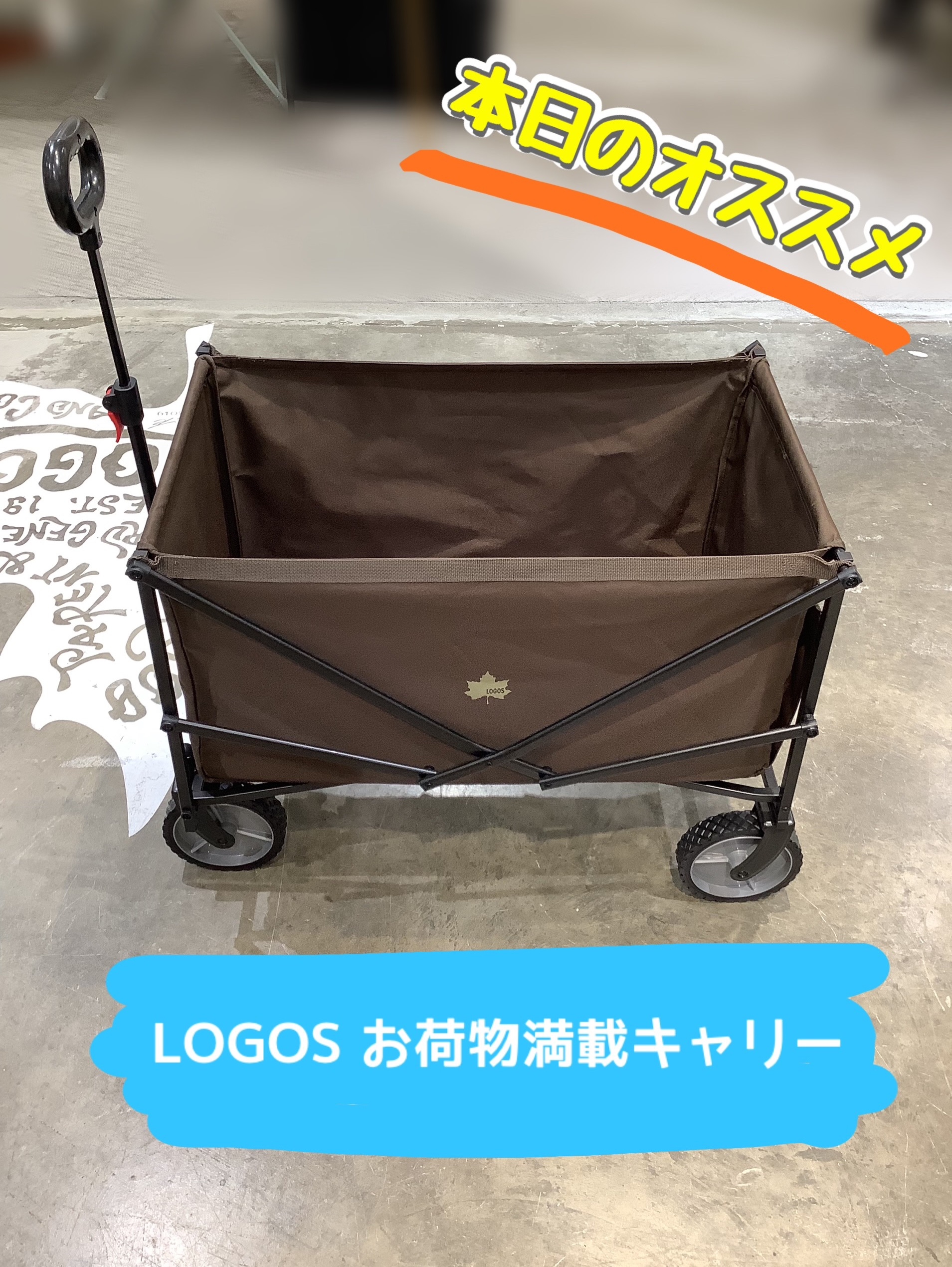 大人気キャリーのご紹介