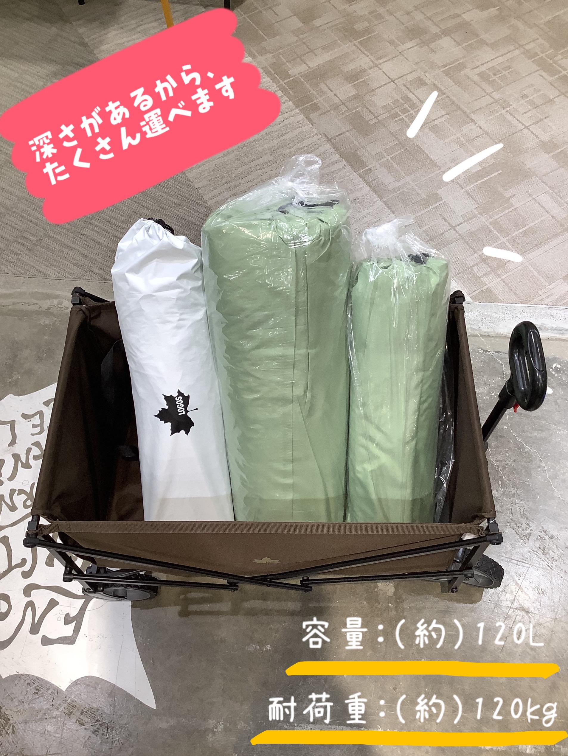 大人気キャリーのご紹介