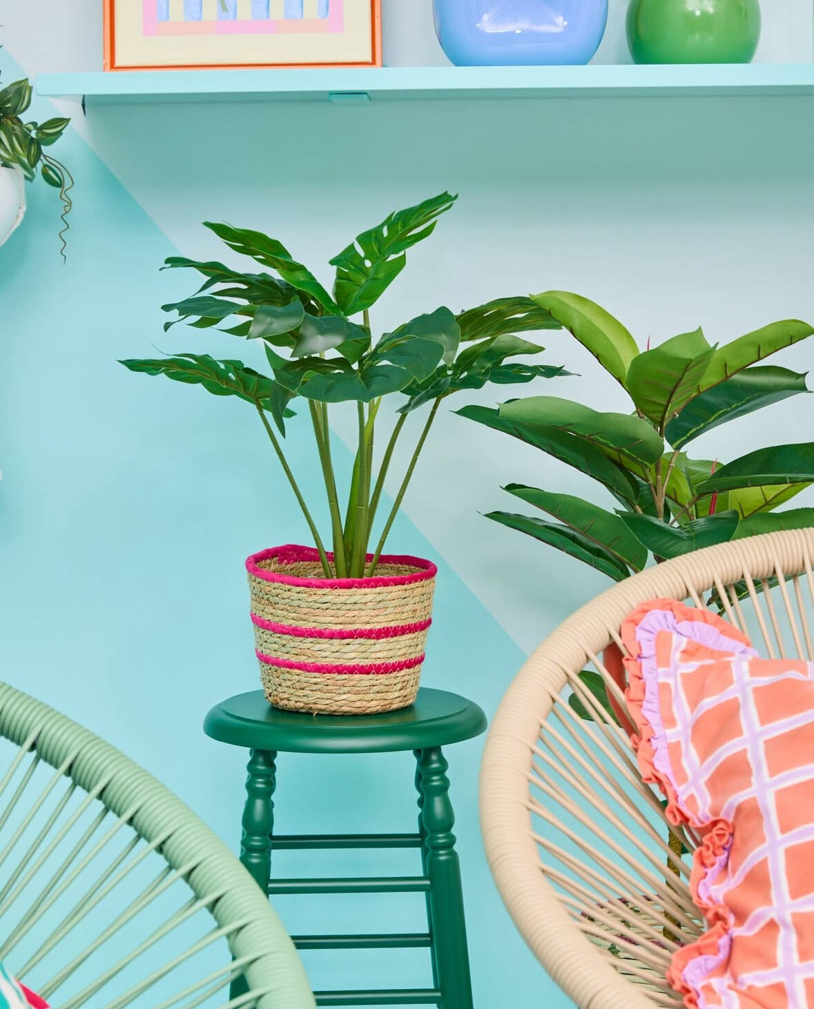 グリーンで空間に癒しを🌿