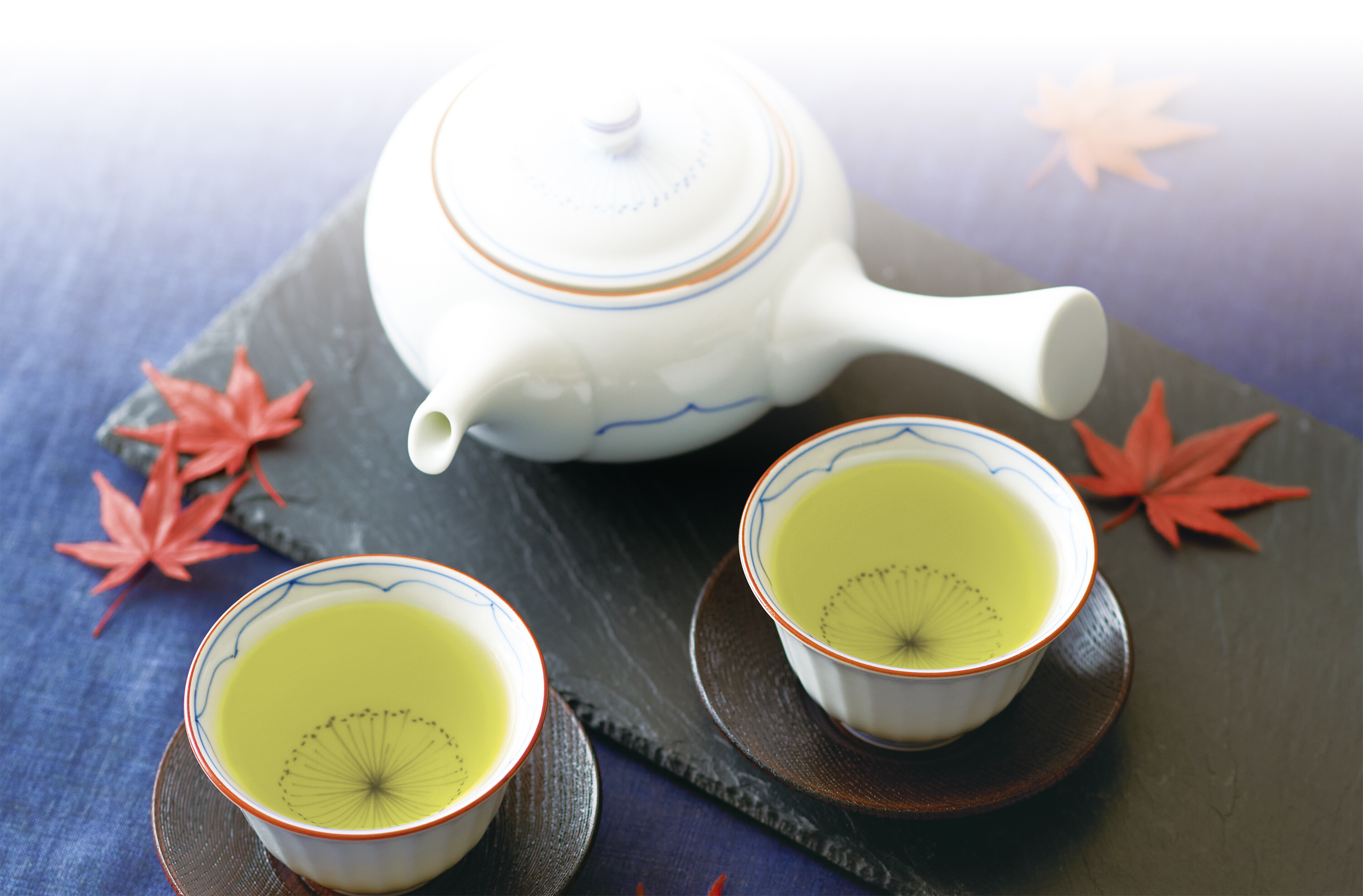 おまとめ買いがお得! 秋の日本茶まつり