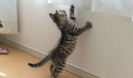 【PDMテスト】イベントニュースkita画像あり