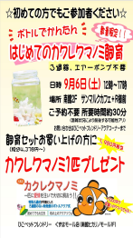 【ひごペットフレンドリー】はじめてのカクレクマノミ飼育