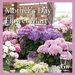 【予告】Mother’s Day Flower Mart by SOW the Farm UNIVERSAL