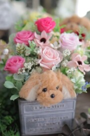 BLOOMBERRY