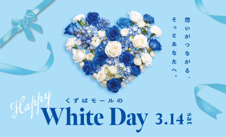 💝White Day2026💝