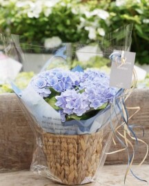 Mother’s Day Flower Mart by SOW the Farm UNIVERSAL
