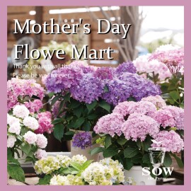 【予告】Mother’s Day Flower Mart by SOW the Farm UNIVERSAL