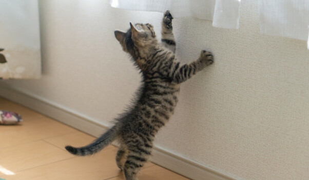 【PDMテスト】イベントニュースkita画像あり