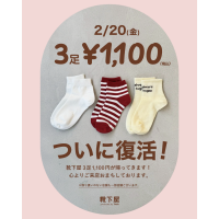 【靴下屋】2.20(金)ついに復活！！