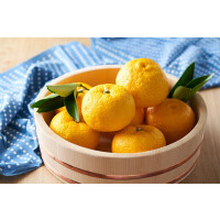 冬至におすすめ！柚子精油