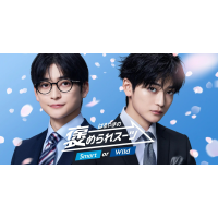 フレッシャーズフェア開催中！