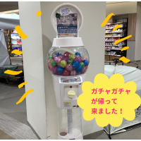 ロゴスのガチャガチャが帰ってきた！
