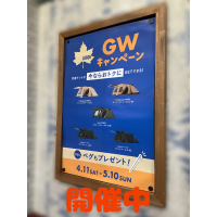 GWキャンペーン開催中！