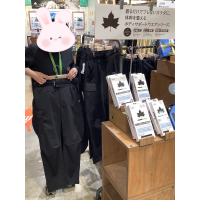 ボディサポートシリーズが新発売