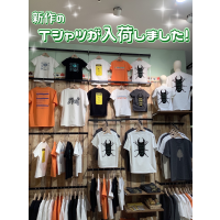 新しいデザインのTシャツが入荷しました！