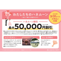 ハネムーナー商品の販売開始！