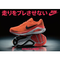ストラクチャー２６先行販売