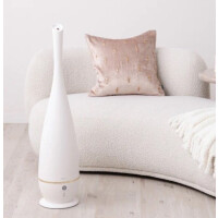 【SALE!】おすすめSALEアイテムをお見逃しなく👀