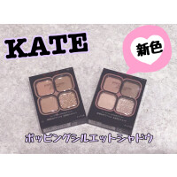 KATE【ケイト】　バズリシャドウ新色