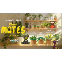 新商品　Plantシリーズ