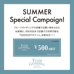 Summer special campaign!!