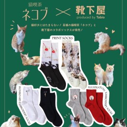 【猫喫茶ネコブ×靴下屋】コラボソックス🐈🧦