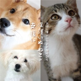 TiCTAC＊information＊　腕時計の下取り開催