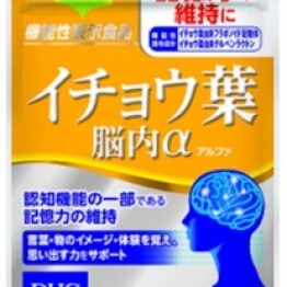 イチョウ葉 脳内α(アルファ)