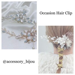 ✨Occasion Hair Clip💝✨