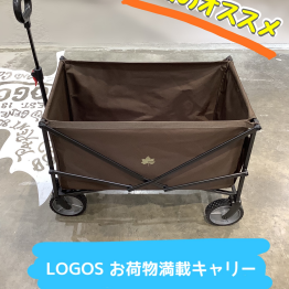 大人気キャリーのご紹介