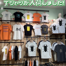 新しいデザインのTシャツが入荷しました！